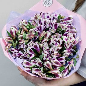 Свадебный букет  из 23 белых с фиолетовой каймой альстромерий