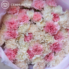 Букет из 51 розовой, белой и кремовой гвоздики в розовой пленке