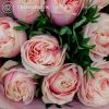 Букет из 9 нежно-розовых пионовидных роз Swan Grace с фисташкой