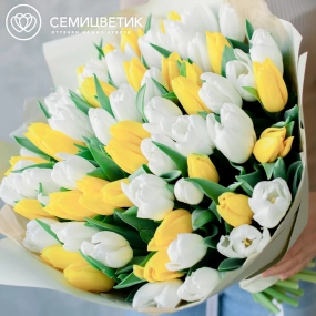 Букет из 75 желтых и белых тюльпанов 40 см в зеленой пленке