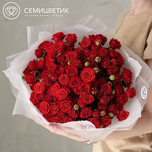 Букет из 25 красных кустовых роз 40-50 см (Россия) в прозрачной упаковке