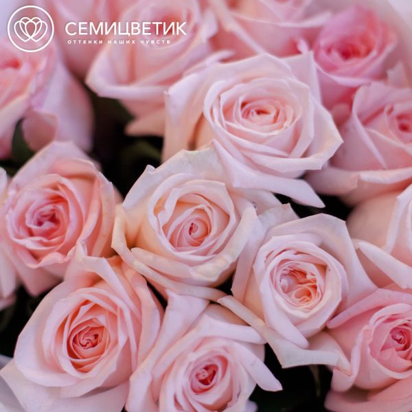 Букет из 15 розовых пионовидных роз Pink O'Hara 40 см