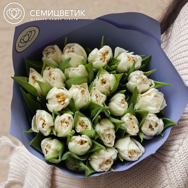 Букет из 25 белых пионовидных тюльпанов