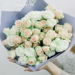 Букет из 15 кремово-белых кустовых роз 40 см (Эквадор)