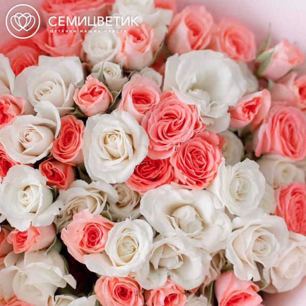 Букет из 25 белых и розовых кустовых роз 40 см (Эквадор)