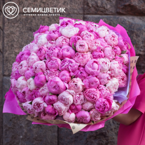 Букет из 101 розового и ярко-розового пиона Standart в упаковке