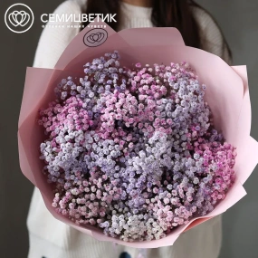 Букет из 11 сиреневых и розовых гипсофил