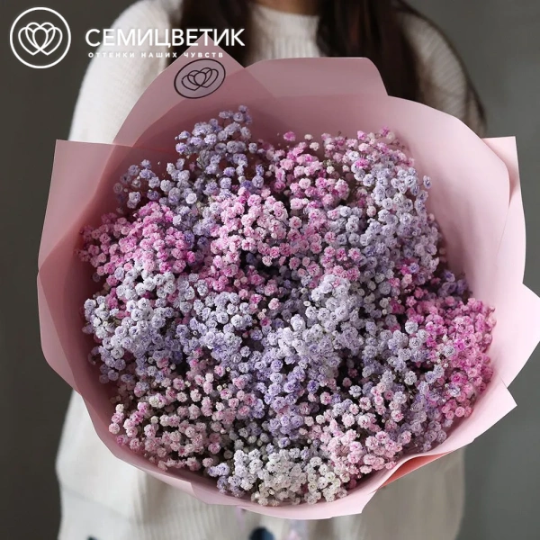Букет из 11 сиреневых и розовых гипсофил