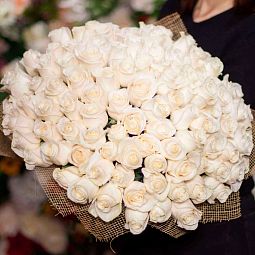 Букет из 101 белой розы Vendela 60 см (Эквадор)