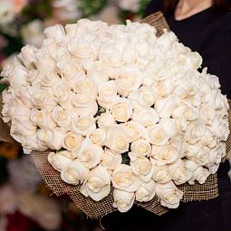 Букет из 101 белой розы (Эквадор) 60 см Vendela
