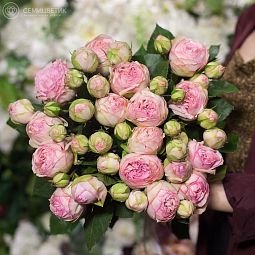 Букет из 15 нежно-розовых пионовидных роз Bridal Piano 40 см
