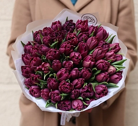 Букет из 51 фиолетового пионовидного тюльпана в прозрачной упаковке