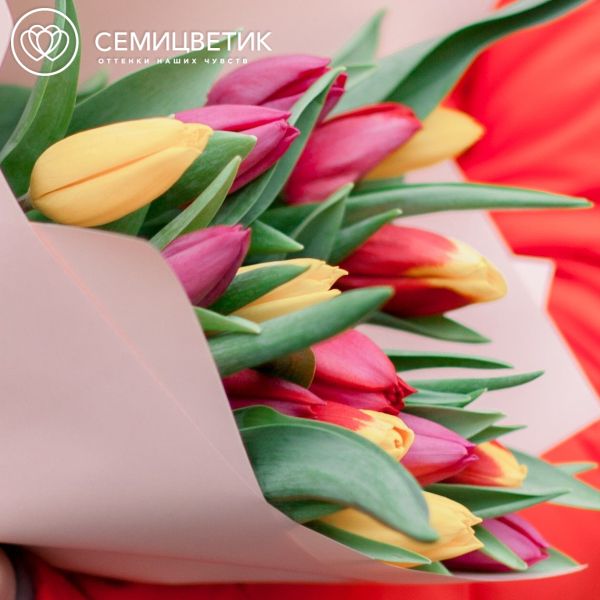 Букет из 15 тюльпанов микс в кремовой пленке
