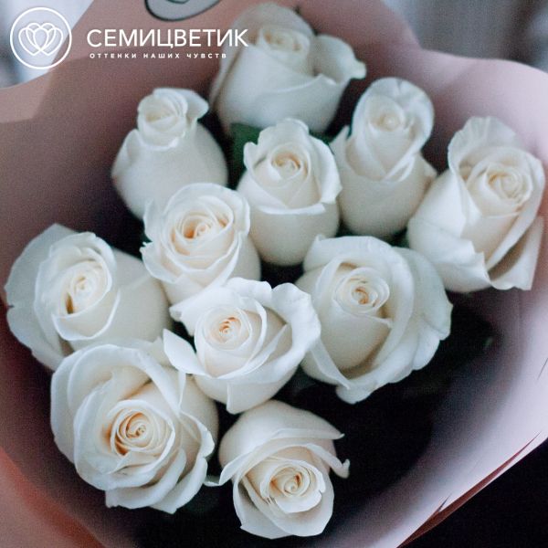 Букет из 11 белых роз Vendela 50 см (Эквадор) в кремовой пленке