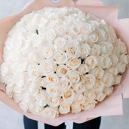 Букет из 101 белой розы Vendela 50 см (Эквадор) в кремовой пленке