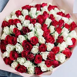 Букет из 101 красной и белой розы 40 см (Кения) в кремовой пленке