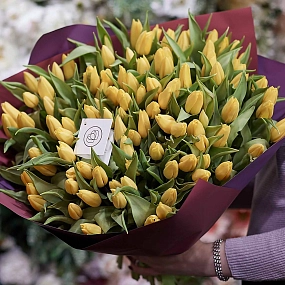 Букет из 101 желтого тюльпана 40 см в бордовой пленке