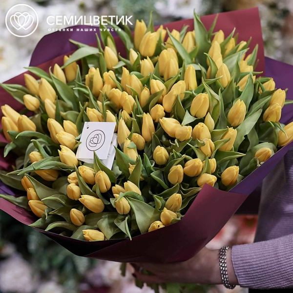 Букет из 101 желтого тюльпана 40 см в бордовой пленке