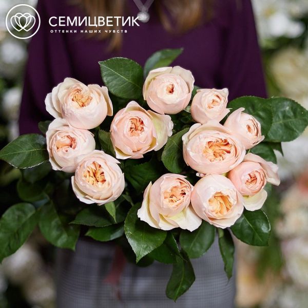 Букет из 11 персиковых пионовидных роз Juliet 50 см (Эквадор)