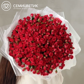 Букет из 101 малиновой кустовой розы 40-50 см (Россия) в прозрачной упаковке