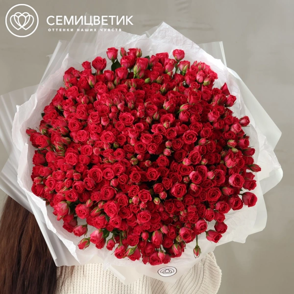 Букет из 101 малиновой кустовой розы 40-50 см (Россия) в прозрачной упаковке