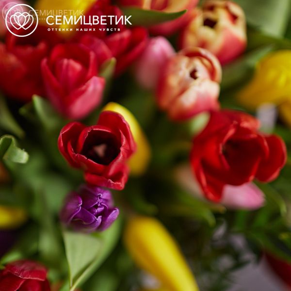 Композиция из 101 тюльпана микс с зеленью в корзине
