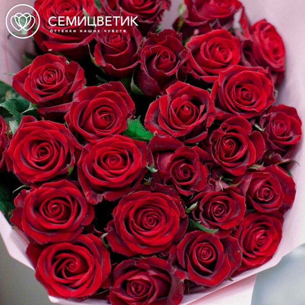 Букет из 25 красных роз 70 см (Россия) в розовой пленке