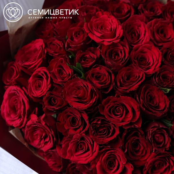 Букет из 51 красной розы 35 см (Кения)