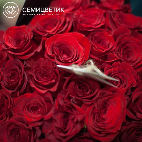 Букет из 5 красных роз Freedom 50 см (Эквадор)
