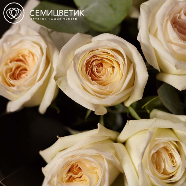 Букет из 19 пионовидных роз White O'Hara 40 см с зеленью
