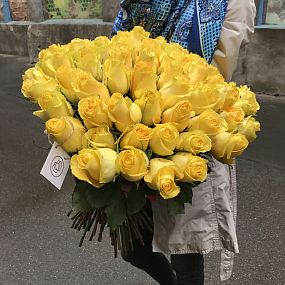 Букет из 51 желтой розы Tara 70 см (Эквадор)