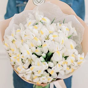 Букет из 35 белых ирисов
