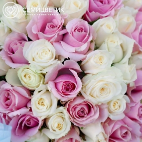 Букет из 101 белой и розовой розы 40 см (Россия) в сиреневой пленке