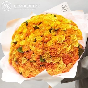 Букет из 151 оранжевой и жёлтой розы 35-40 см (Россия) в белой пленке