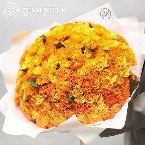 Букет из 151 оранжевой и жёлтой розы 35-40 см (Россия) в белой пленке