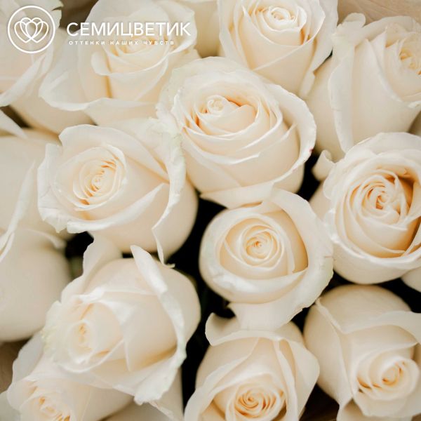 Букет из 15 белых роз Vendela 60 см (Эквадор)