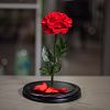 Красная роза в колбе 33 см