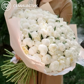 Букет из 101 белого пиона Premium в кремовой пленке