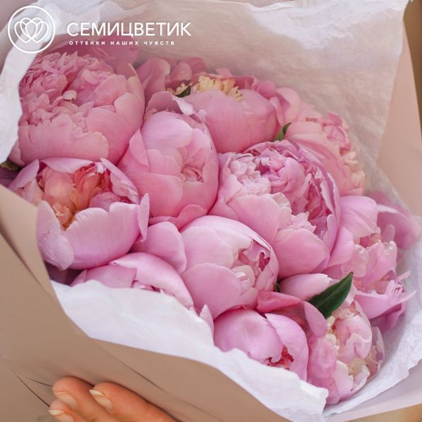 Букет из 11 розовых пионов Premium