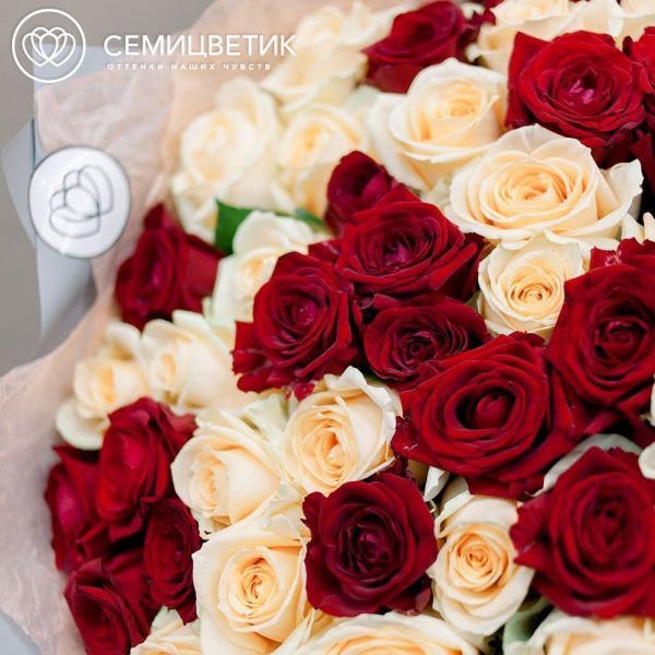 Букет из 101 красной и кремовой розы 60 см (Россия) 