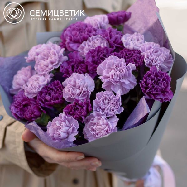 Букет из 25 сиреневых (лунных) и фиолетовых гвоздик