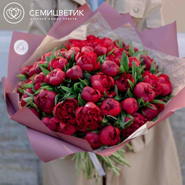 Букет из 51 бордового пиона Standart