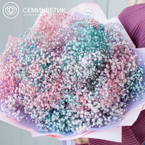 Букет из 25 гипсофил микс в розовой пленке