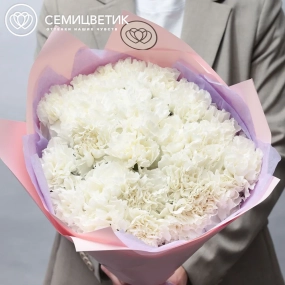 Букет из 25 белых гвоздик в розовой пленке