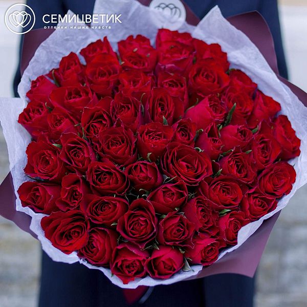 51 красная роза (Кения) 40 см Premium