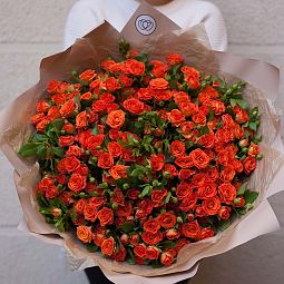 Букет из 51 оранжевой кустовой розы 40 см (Кения) в кремовой пленке