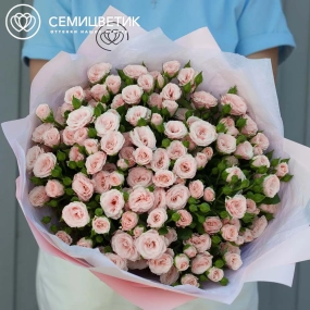 Букет из 21 нежно-розовой кустовой розы 40 см (Кения) в розовой пленке
