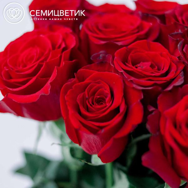 Букет из 9 красных роз Freedom 120 см (Эквадор)
