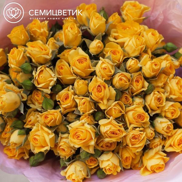 Букет из 19 желтых кустовых роз 40 см (Кения)