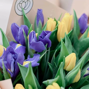 Букет из 15 синих ирисов и 20 желтых тюльпанов 40 см в кремовой пленке